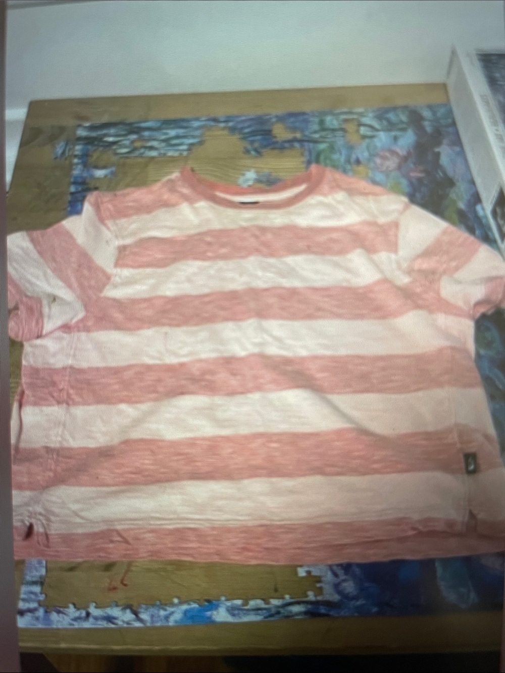 Kids Striped Short-Sleeve Tee North Face